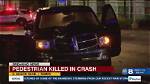 Pedestrian Killed in Tampa Crash Along Busch Boulevard