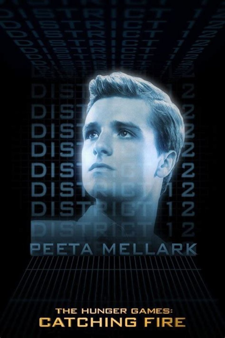 Peeta Mellark: The Courageous Tribute from District 12 in The Hunger Games