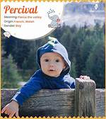 Percival Meaning in English, Percival Baby Name Origin Gender Meaning Pronunciation