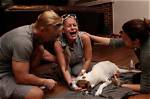 Pet Owners Say Dogs Got Sick, Died After Using Vaccines from Local Store – Wsoc Tv