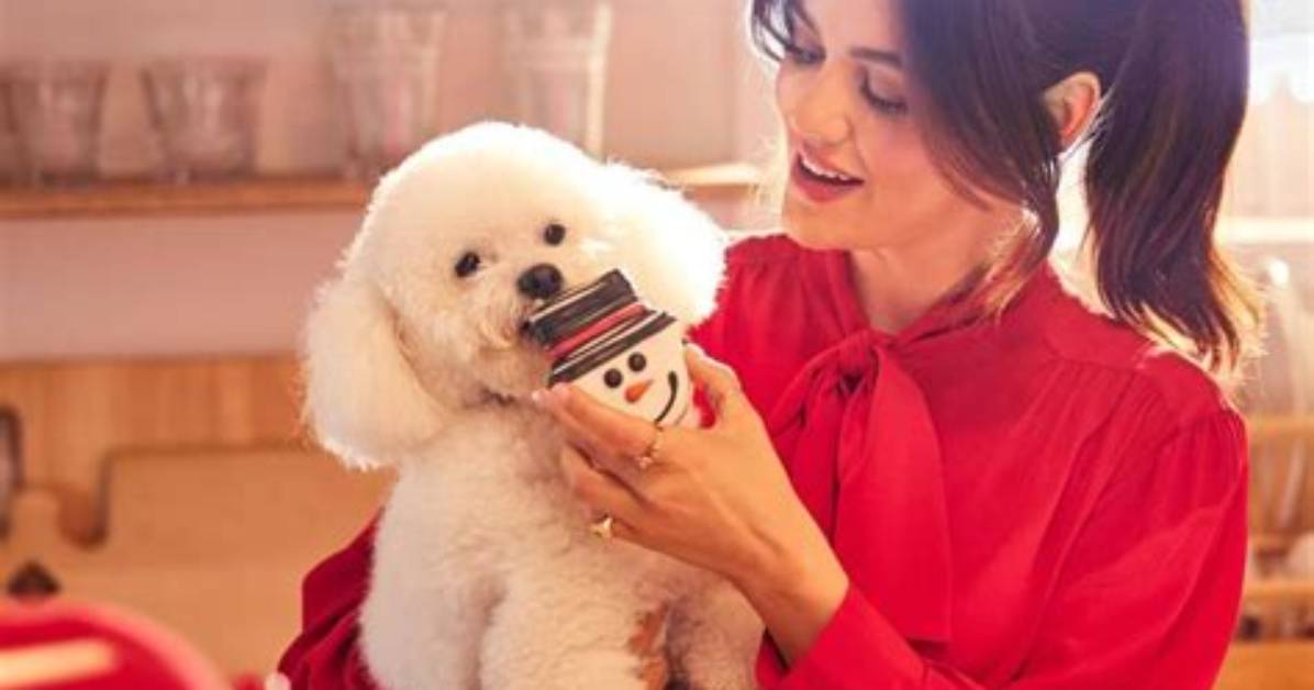Petsmart Commercial Actress 2023: Lucy Hale