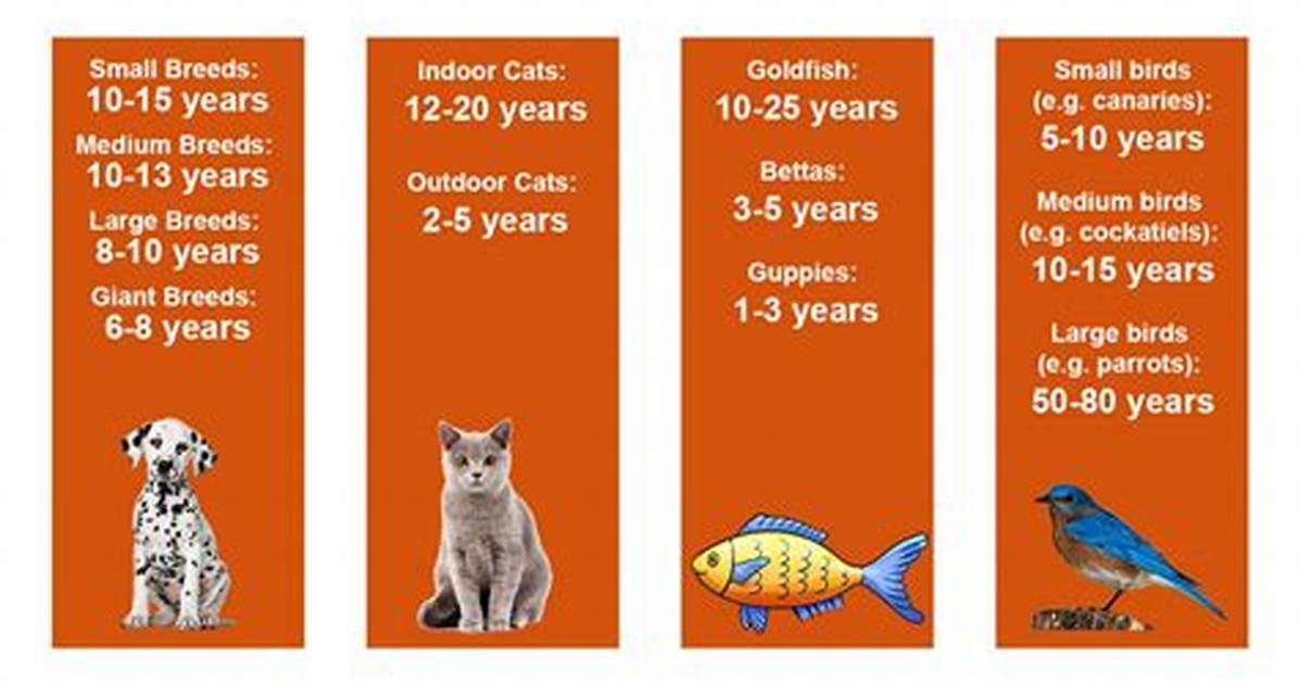 Pictures, Varieties, Lifespan & Care Guide | Pet Keen
