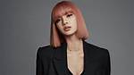 Pink Net Worth