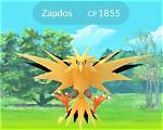 Pokemon Go Zapdos Day: Raid Tips to Get a Shiny Zapdos with Thundershock