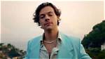 Pop Star Harry Styles Congratulates Team Japan on Their World Baseball Classic Triumph Just Days After Their Colossal Victory