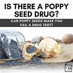 Poppy Headed for Drug Spiral After Losing Daughter?