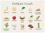Prebiotic Foods List: Enhance Your Gut Health | Signos