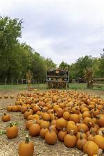 Pumpkin Hollow at Deanna Rose Farmstead | Macaroni Kid Overland Park - Olathe