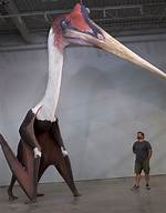 Quetzalcoatlus: the Largest Flying Animal Ever to Live | Dinosaur Documentary