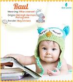 Raul Meaning in English, Raul Baby Name Origin Gender Meaning Pronunciation