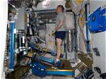 Resistive, Targeted Exercise Reversed Astronauts’ Bone Loss, Study Finds