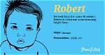 Robert Meaning in English, Robert Baby Name Origin Gender Meaning Pronunciation