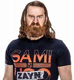 Sami Zayn Networth 2023, Earnings, Endorsements