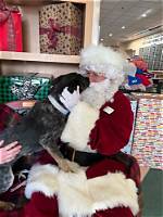 Santa Claus Helps Nevada Humane Society Give over 60 Animals | Local News