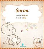 Saran Meaning in English, Saran Baby Name Origin Gender Meaning Pronunciation