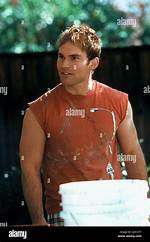Seann William Scott