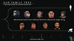 Seven Million Year's of Human Evolution