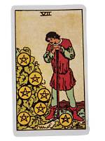 Seven of Pentacles -