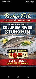 Shelby Peterson Obituary Kelso Wa, Kerby’s Fish Employee Dies in Tragic Car Accident – Obituary