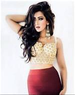 Shezray Husain Wiki, Biography, Age, Height, Info, Details & More