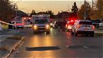 Shooting in Brampton and Man Dead After Shooting in Brampton