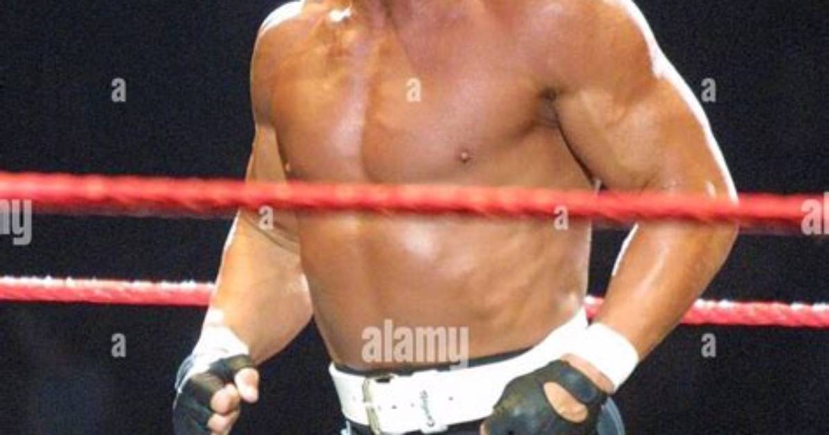 Should Hulk Hogan Wrestle One More Match? My Opinions: He Shouldn't Do It Anymore