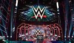 Should Wwe Bring Back the Single Brand Ppv?
