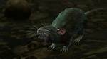 Should You Accept the Rat's Treasure in the Gauntlet of Shar in Baldur's Gate 3? - Answered