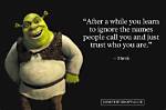 Shrek Quotes - 30 Funniest and 20 Wisdom-Pacts Quotes You Will Love