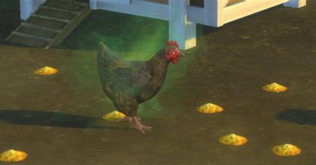 Sims 4 How to Clean Chickens?