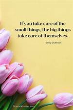 Small but Mighty - Taking Care of Your Toes