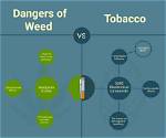 Smoking ‘Rabbit Tobacco’ vs ‘Pot’ | Columnists