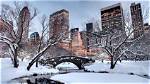 Snow Season in New York City: What Building Owners and Managers Need to Know