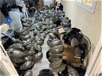 Suspected Pot Dealer Busted with Pound of Dope, $3,200 | Local News