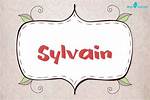 Sylvain Meaning in English, Sylvain Baby Name Origin Gender Meaning Pronunciation