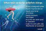 Take a Look at a Jellyfish Sting in Slow Motion