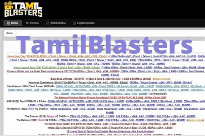 Tamilblasters: Latest Updates & Risks Explained - [Pirates...Tamil Dubbed]