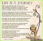 Tara Siebert: a Journey Through Her Life and Career