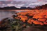 Tasmania: the Island Where You Can Discover Wild Landscapes, Extraordinary Food and Wildlife