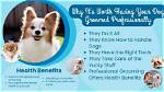 The Benefits of Having Your Dog Groomed at Tail Chasers