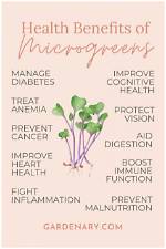 The Benefits of Microgreens and Their Uses: a Full Guide