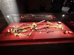 The Bones of Waterloo: Around 20,000 People Died in the Battle, Yet Mass Graves Have Never Been Found