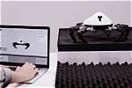 The Hexa Robot Is a Six-Legged Robot That Can Help Plants