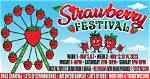 The Joyous Celebration of Strawberry Festival in Mattituck