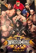 The Original Plan at Wrestlemania 30?