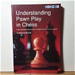 The Pawn’s Past in Play as Konstantin Plays John and Steve