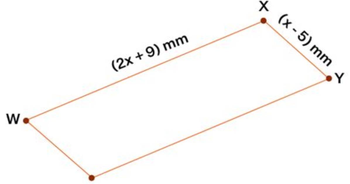 The Perimeter of Parallelogram Wxyz Is 50 Millimeters. What Is Wz?