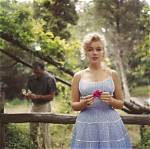 The Photography of Sam Shaw – the Hollywood Reporter