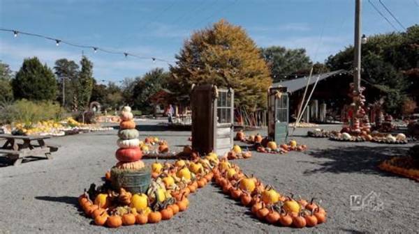 🎃 the Pumpkin Walk at Creekside Gardens