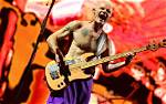 The Red Hot Chili Peppers Song Flea Wrote After Witnessing River Phoenix’s Passing
